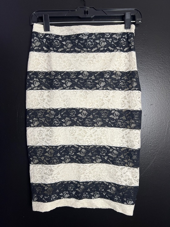 The Limited Dresses & Skirts - The Limited Striped Lace Pencil Skirt in White and Navy